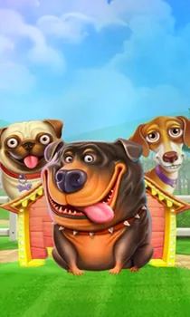 The Dog House